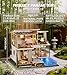 Spilay Dollhouse Miniature with FurnitureDIY Wooden Crafts Doll House Mini Handmade Kit124 Scale Creative Room Idea Gift for Adult Friend Lover Elegant and Quiet with dust Cover Music Box - Image 3
