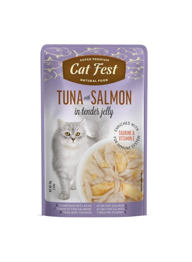Cat Fest  - Tender Jelly For Cats 70g / Tuna with Salmon
