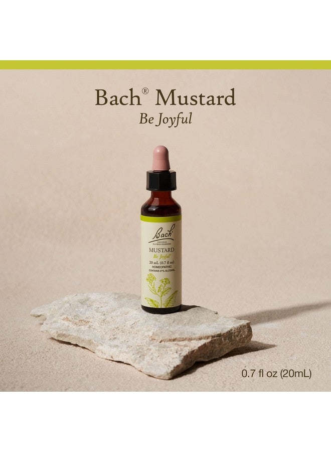 Bach Original Flower Remedies Mustard For Joy Natural Homeopathic Flower Essence Emotional Wellness And Stress Relief Holiday Gift For Him Or Her Vegan 20Ml Dropper  - Image 2
