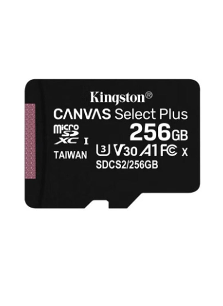 Kingston - Canvas Select Plus MicroSD UHS-1 Memory Card 256 GB - Image 1
