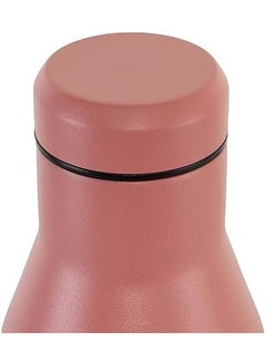 Horizon Bottle Insulated Stainless Steel 750Ml Terracotta Rose - pzsku/Z2AB65BE873395E8C9C09Z/45/_/1718350058/47166a87-839b-4ecd-a067-31896074a0eb