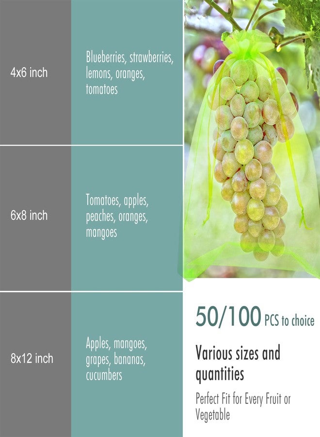 Fetanten Fruit Protection Bags, Fetanten 50 PCS 6 x 8 Inch Mesh Drawstring Bag for Fruit Trees, Small Green Garden Fruit Plant Netting Cover Bag Protect Blueberry Tomato Apple Mango from Bird Insect Pest - Image 3