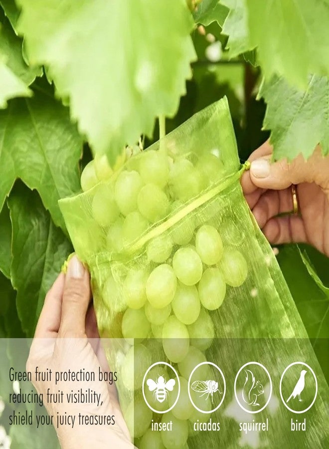 Fetanten Fruit Protection Bags, Fetanten 50 PCS 6 x 8 Inch Mesh Drawstring Bag for Fruit Trees, Small Green Garden Fruit Plant Netting Cover Bag Protect Blueberry Tomato Apple Mango from Bird Insect Pest - Image 4