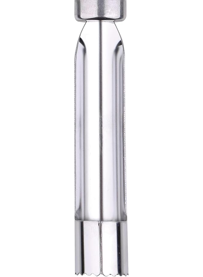 بيرجنر أداة تقشير التفاح من جيزمو، 21.5 سم، من الفولاذ المقاوم للصدأ، Bg3226، فضي، Bg 3226 - Image 3