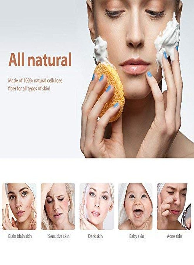 MAXSOFT Facial Sponges, MAXSOFT Compressed 100% Natural Cellulose Facial Cleansing Sponges-50 Count - Image 2