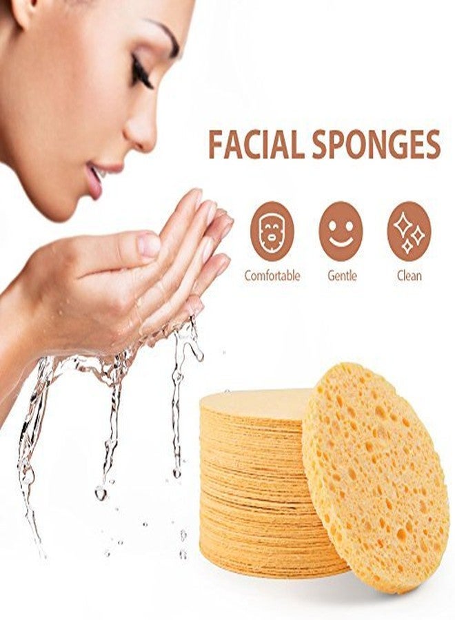 MAXSOFT Facial Sponges, MAXSOFT Compressed 100% Natural Cellulose Facial Cleansing Sponges-50 Count - Image 3