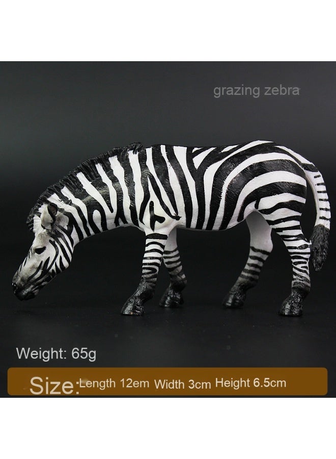 NIBEMINENT African Zebra Model - Realistic Wild Animal Toy for Kids