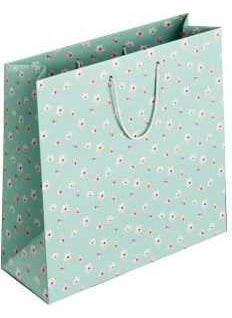 Keskin Color Sharp Color Cardboard Bag K2 Water Green 