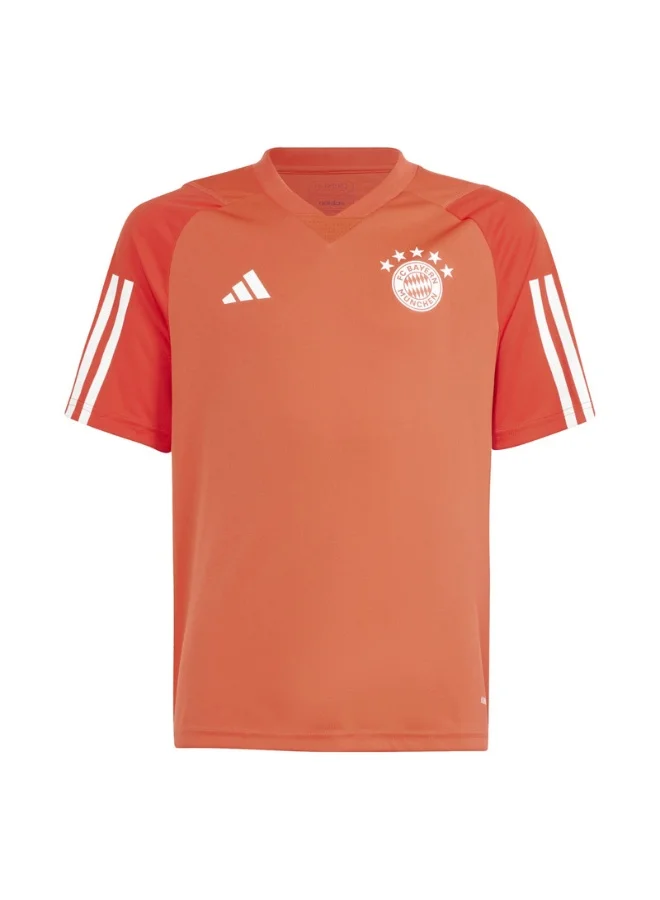 Adidas FCB TR JSY Y