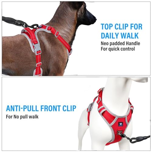HANK Dog Harness | 3M Reflective Strap | Dog Body Vest for Medium Dogs | Soft Comfortable Padded | Anti Pull Harness for Walking, Training (Red - Grey - M (14-22Kg) - Image 3