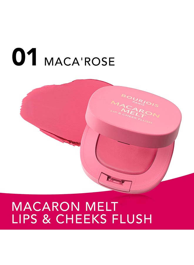 BOURJOIS PARIS ماكارون ميلت ليف و تشيك فلاش - 1 - ماكاروز، 8غ - Image 3