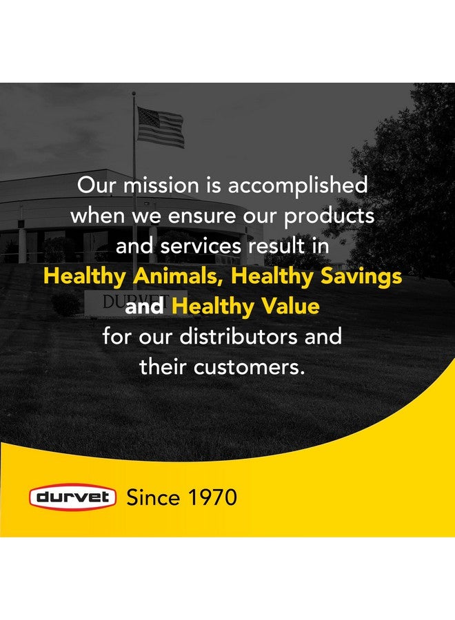 دورفيت عبوة دورفيت/إكوين 699696 ساندرِد، حبيبات سيلليوم، عبوة قيمة للخيول، 2.3 رطل - Image 5