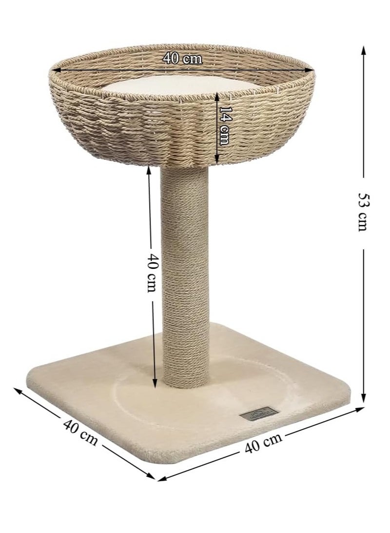 أن ان سي بيتس شجرة قطط مع مجثم سلة من الخيزران، وعمود خدش من السيزال وقاعدة متينة، وإطار تسلق للقطط بطول 53 سم للقطط المنزلية، ومركز أنشطة شجرة القطط وسهل التجميع (بيج) - Image 2