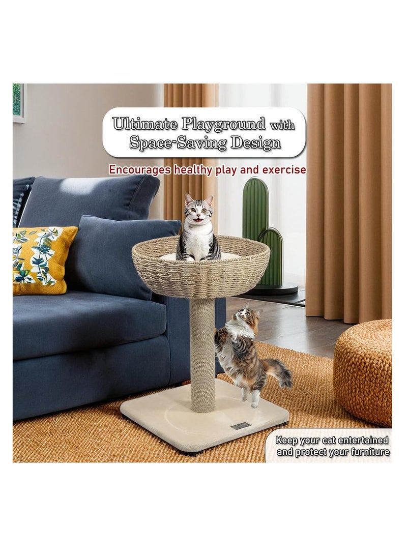أن ان سي بيتس شجرة قطط مع مجثم سلة من الخيزران، وعمود خدش من السيزال وقاعدة متينة، وإطار تسلق للقطط بطول 53 سم للقطط المنزلية، ومركز أنشطة شجرة القطط وسهل التجميع (بيج) - Image 5