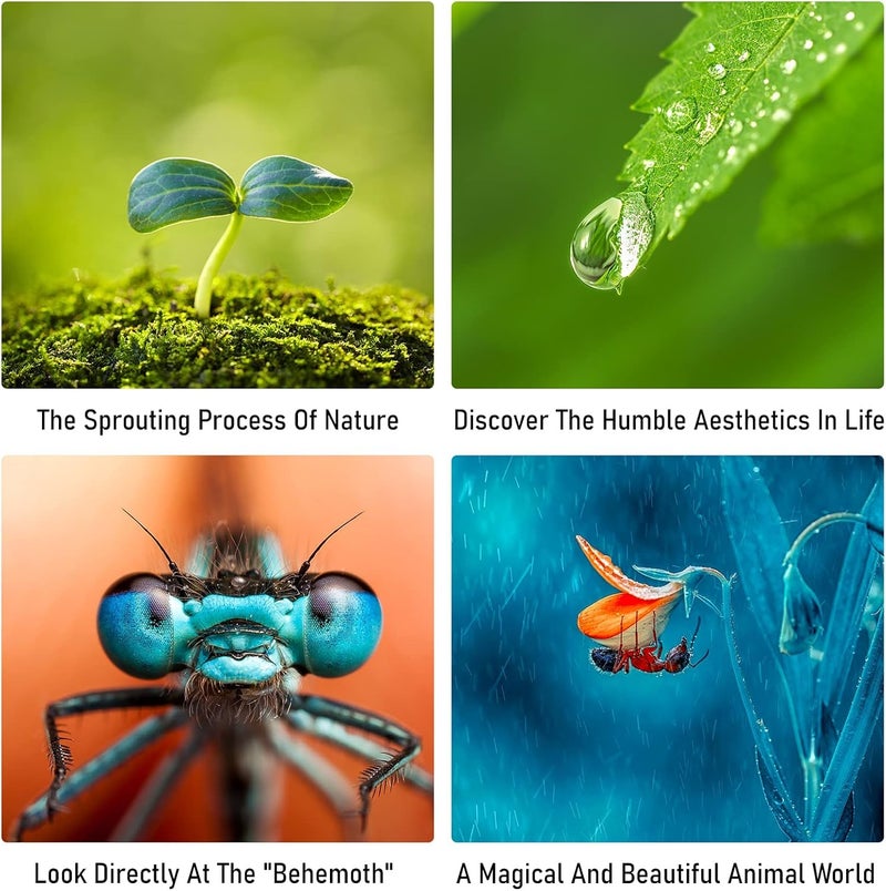 VILTROX أنبوب تمديد عدسة ماكرو ذات تركيز تلقائي متوافق مع عدسات كانون EF/EF-S وكاميرات DSLR 5D 6D 7D 10D 30D 50D 70D 90D 200D 400D 600D 800D 1300D 2000D T7 T6 T5 T4i SL3 - Image 5