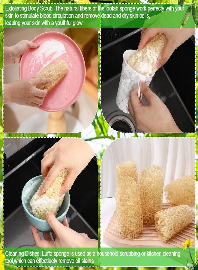 ZhouBoat 3 PCS Large Natural Loofah Sponge Organic Exfoliating Scrubber for Shower Bath Body Dish Cleaning for Men Women - Image 3