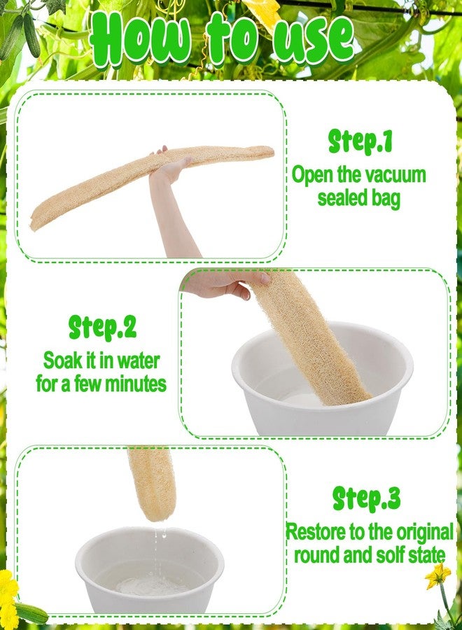 ZhouBoat 3 PCS Large Natural Loofah Sponge Organic Exfoliating Scrubber for Shower Bath Body Dish Cleaning for Men Women - Image 4