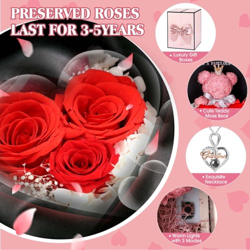 ADDWel Great Gifts for Grandma, Preserved Real Roses with I Love You 100 Languags Grandma Necklace, Cute Bear and Meaningful Eternal Roses for Grandmother Nana Birthday - Image 5