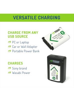 NP-BX1 Battery and Dual USB Charger - Pack of 2 - pzsku/Z2AC7814068C6BDDC18DCZ/45/_/1732875719/cca4f12f-c127-4b86-828c-f26907464803