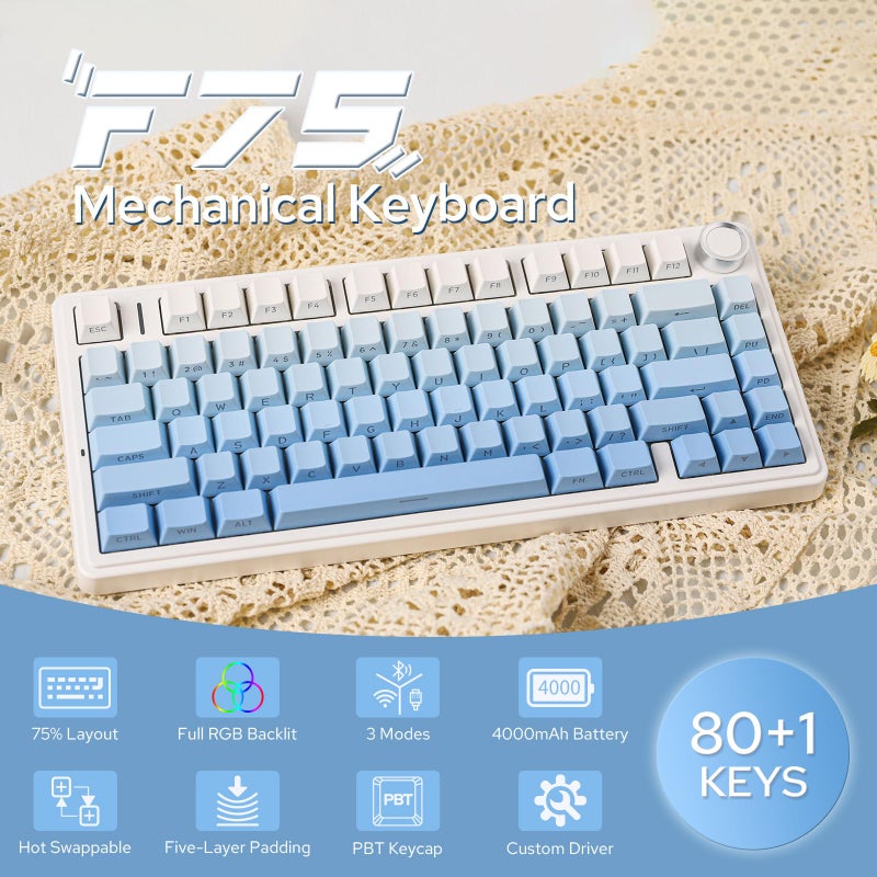 EPOMAKER لوحة مفاتيح ميكانيكية EPOMAKER x AULA F75، 75% لاسلكية قابلة للتبديل الساخن مع حشوة من خمس طبقات وقرص، بلوتوث/2.4GHz/USB-C، RGB (تدرج أزرق، مفتاح LEOBOG Reaper) - Image 2