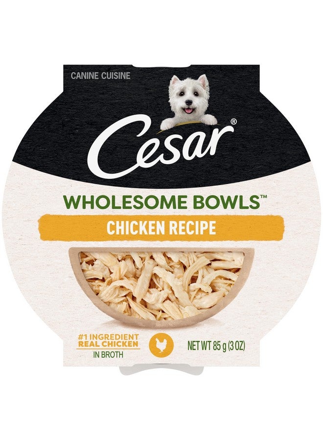 CESAR WHOLESOME BOWLS Adult Soft Wet Dog Food, Chicken Recipe, 3oz., Pack of 10 - Image 1