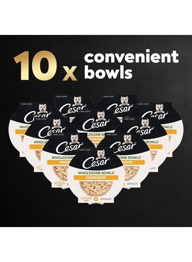 CESAR WHOLESOME BOWLS Adult Soft Wet Dog Food, Chicken Recipe, 3oz., Pack of 10 - Image 2