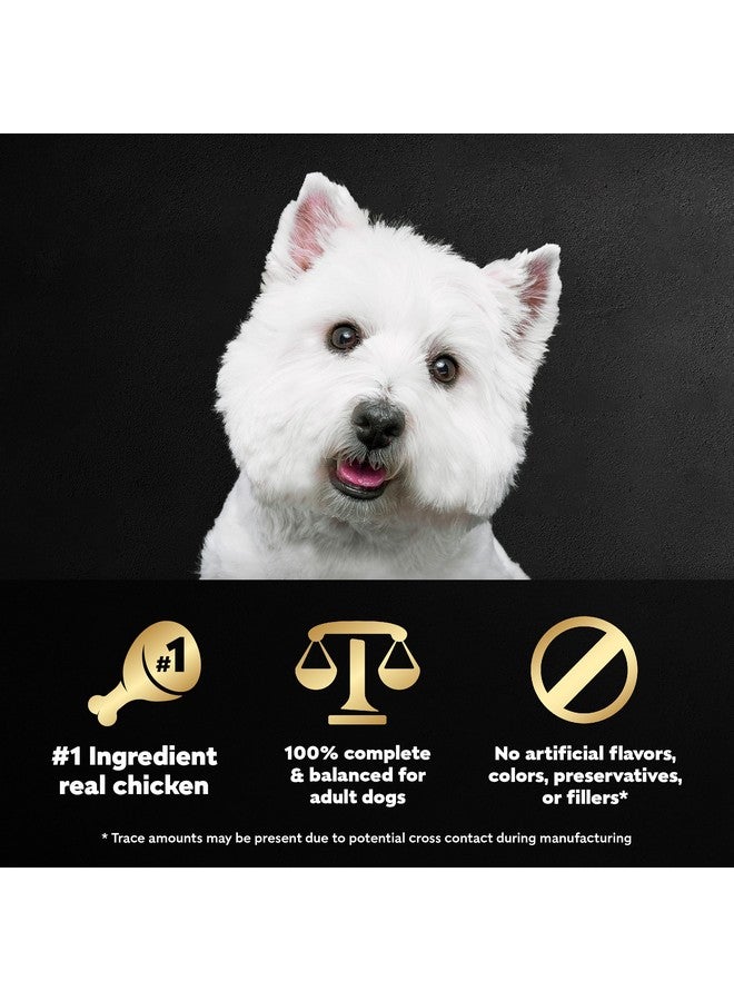 CESAR WHOLESOME BOWLS Adult Soft Wet Dog Food, Chicken Recipe, 3oz., Pack of 10 - Image 5