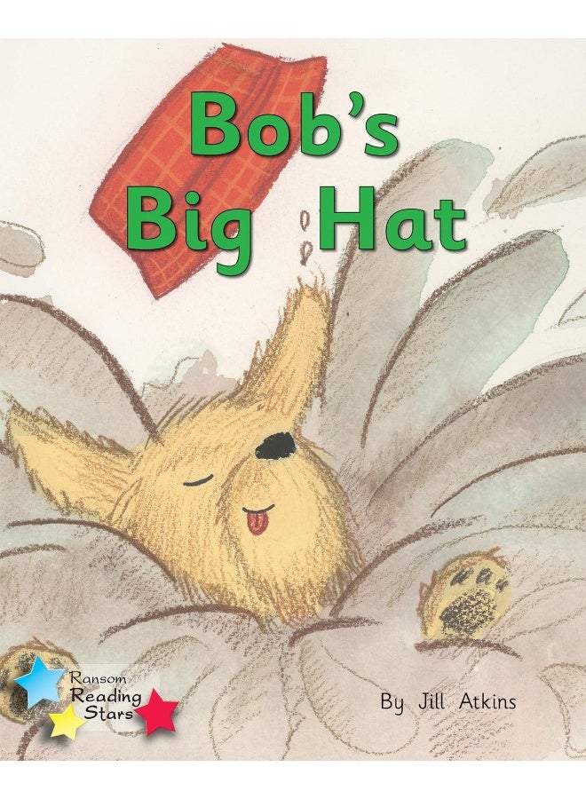 Bob and the Hat: Phonics Phase 2