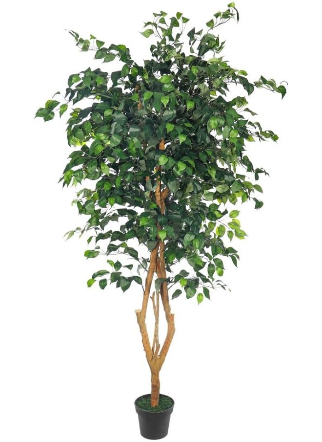 Yatai - YATAI DECOR Nearly Natural Artificial Ficus Plant 2 Meters High Ficus Tree Fake Plant with Plastic Pot & Moss Grass for Home Garden Decoration – Fake Tree – Artificial Plants - Image 1