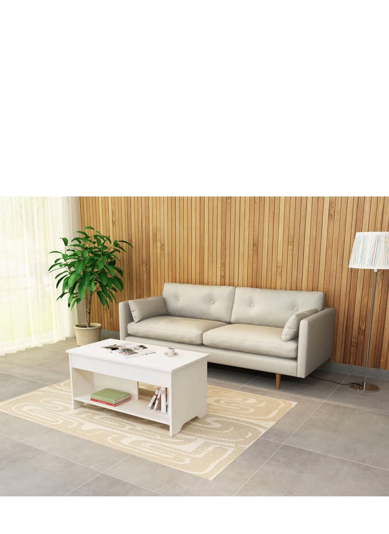 Eleva Home - Lift Top Coffee Table Modern with Hidden Compartment and Large storage, White - Image 1