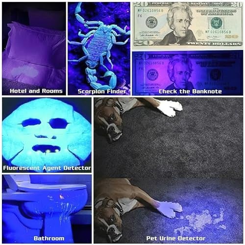 ARKZO UV Torch Light 395 NM LED Rechargeable Ultraviolet Torch, Black Light UV for Fluorescent Detection, Resin Curing and Pet Dog Urine Detection - Woods Lamp Flashlights - Image 4