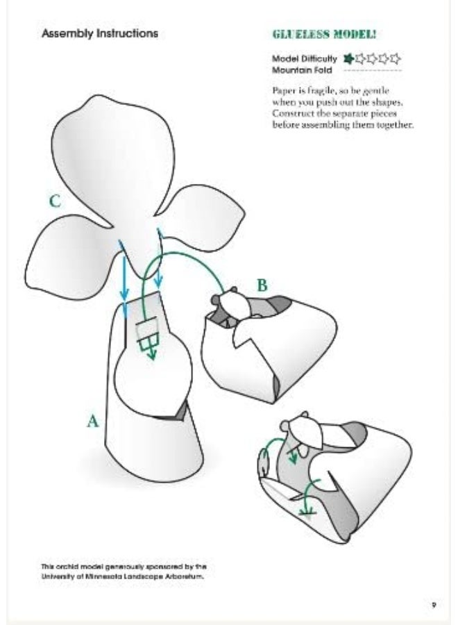Origami Orchids Kit: 20 Beautiful Die-Cut Paper Models - Image 5