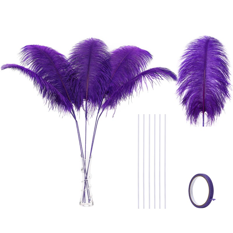 Ballinger Purple Ostrich Feathers Bulk  Making Kit 10Pcs 28 inch Large Feathers for Vase Wedding Party Centerpieces Mardi Gras Decor and Home Decorations