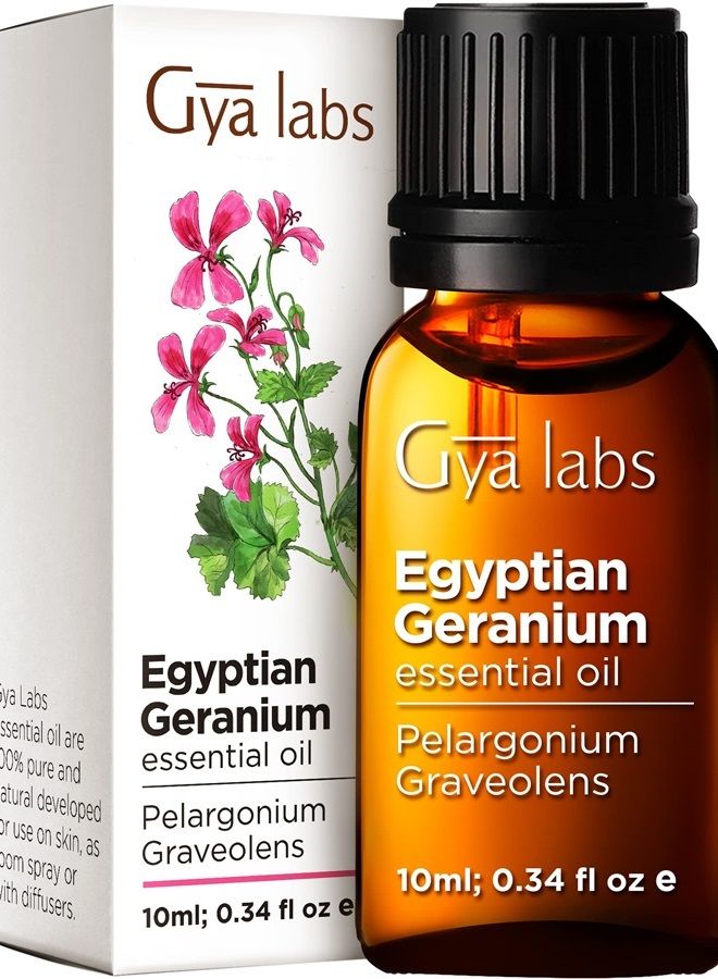 gya labs Egyptian Geranium Essential Oil - 100% Natural Aromatherapy Geranium Essential Oil for Skin, Hair, Body Massage & Diffuser (0.34 fl oz) - Image 1