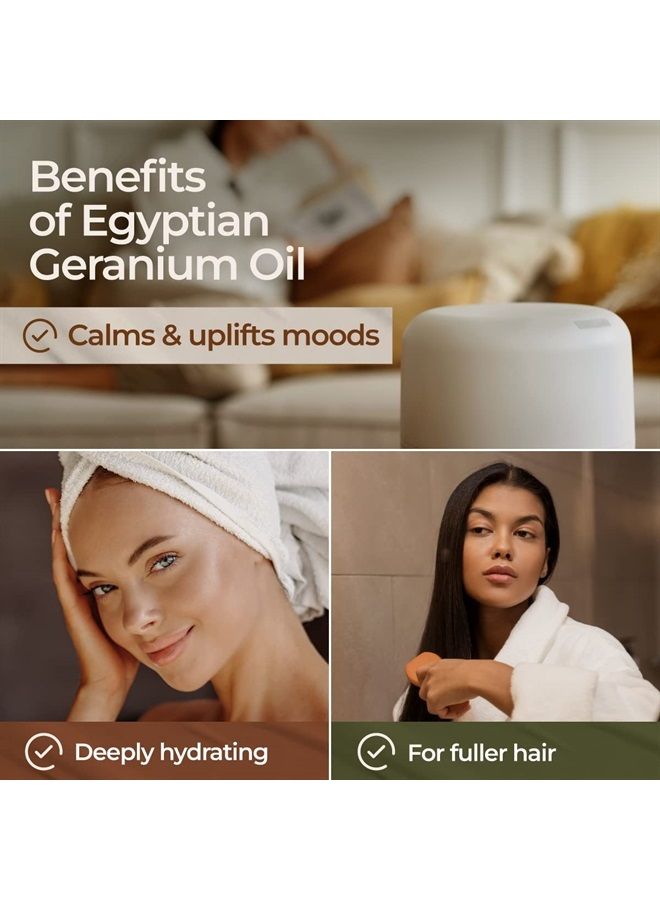 gya labs Egyptian Geranium Essential Oil - 100% Natural Aromatherapy Geranium Essential Oil for Skin, Hair, Body Massage & Diffuser (0.34 fl oz) - Image 2