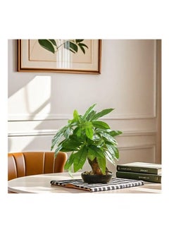 Generic Artificial Plants Bonsai Simulation Plastic Green Plants Wealth Tree 43cm Suitable for Indoor Home Decoration, Office Living Room, Hotel Outdoor Greening (with Flower Pots)  - Image 4