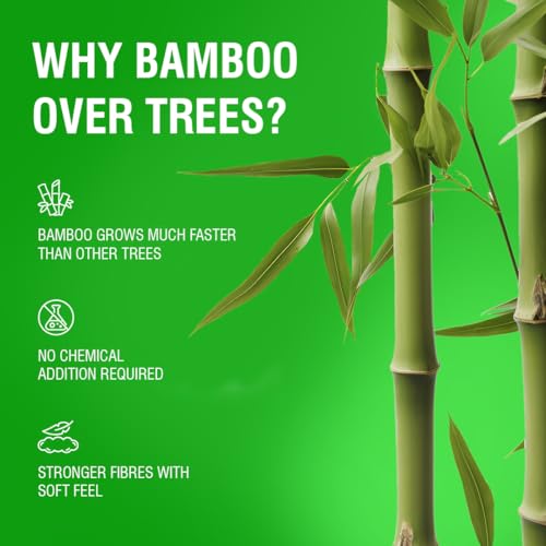 Beco Toilet Tissue Rolls | 3-ply, 1920 Pulls (160 x 12 Rolls) | Tissue Paper Roll, Toilet Paper Roll - Eco Friendly, Soft & Highly Absorbent, 100% Natural Bamboo, Chemical-Free, Hypoallergenic - Image 5