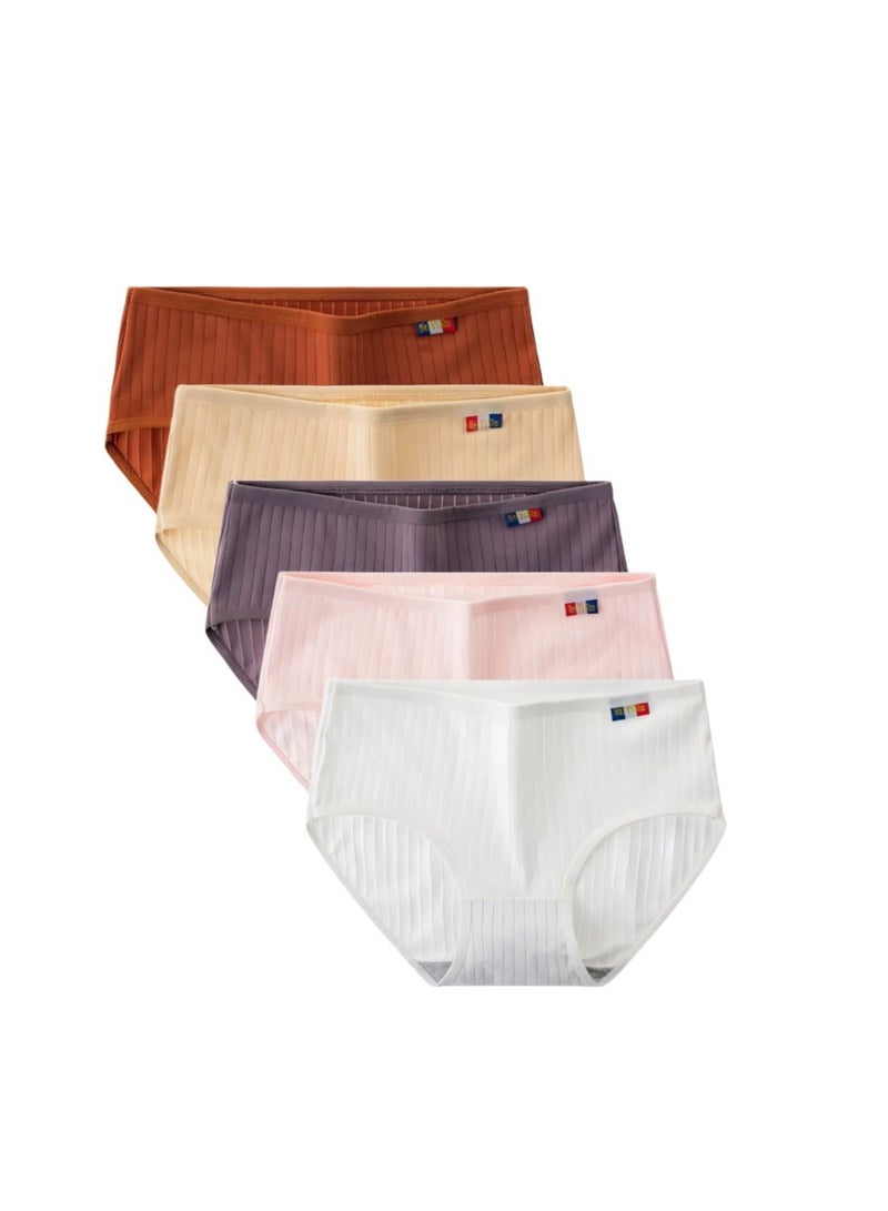 5 Pieces Womens Cotton Pantie  - Image 1