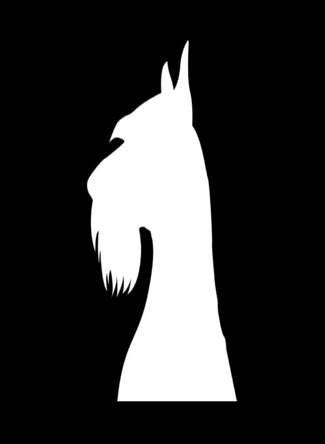 Foxtail Decals ملصق فينيل على شكل رأس كلب شناوزر | أبيض | صنع في الولايات المتحدة الأمريكية بواسطة فوكستيل ديكالز | مناسب لنوافذ السيارات، والأجهزة اللوحية، وأجهزة الكمبيوتر المحمولة، وزجاجات المياه، وغيرها | 3.6 × 4.5 بوصة - Image 2