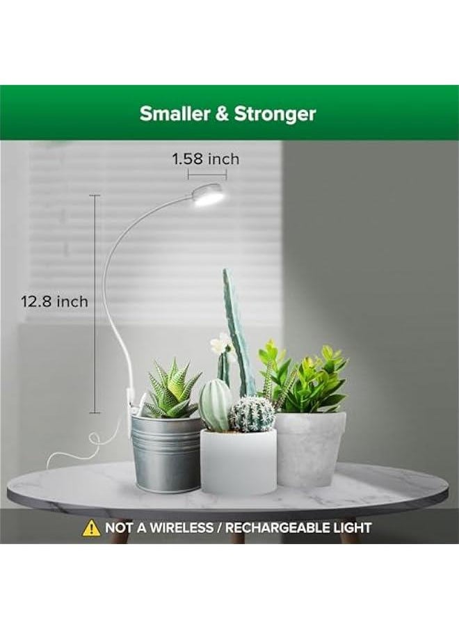 Arabest - Indoor Plant LED Grow Light with Adjustable Brightness and Timer, Full Spectrum Plant Lamp for Succulents and Small Plants, White Color, 5V Power Supply - Image 1
