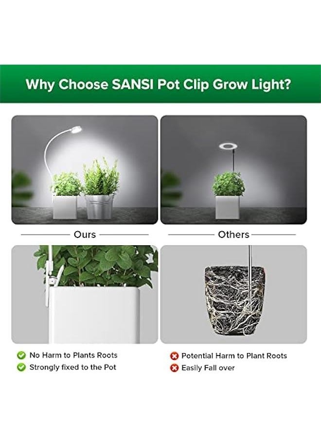 Arabest - Indoor Plant LED Grow Light with Adjustable Brightness and Timer, Full Spectrum Plant Lamp for Succulents and Small Plants, White Color, 5V Power Supply - Image 1
