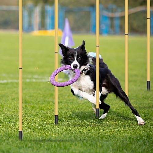 TINEPRY Dog Agility Training Hurdle Cone Set, Adjustable Dog Agility Equipment Obstacle Course Backyard Equipment for Pet Exercise - Image 3