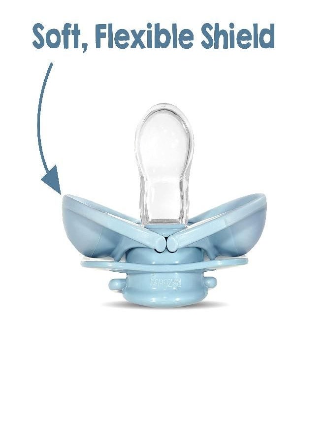 Razbaby - RaZbaby Keep-it-Kleen Baby Pacifier 2 Pack, 0-36M (Infant-3 yrs), Closes Automatically When Dropped, Silicone Orthodontic Nipple Stays Clean, Built-in Shield/Case, Easy to Clean - Bear/Penguin - Image 1
