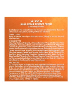 MIZON Mizon, Snail Repair Perfect Cream, 1.69 fl oz (50 ml)  - Image 3