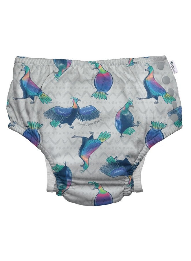 جرين سبراوتس أنا ألعب. من جرين سبراوتس، حفاضات سباحة إيكو سناب قابلة لإعادة الاستخدام مع أربطة، عامل حماية من الأشعة فوق البنفسجية 50، 24 شهرًا، لون رمادي هيمالايا مونال - التنوع البيولوجي، تصميم حاصل على براءة اختراع، معتمد من معيار 100 من OEKO-TEX