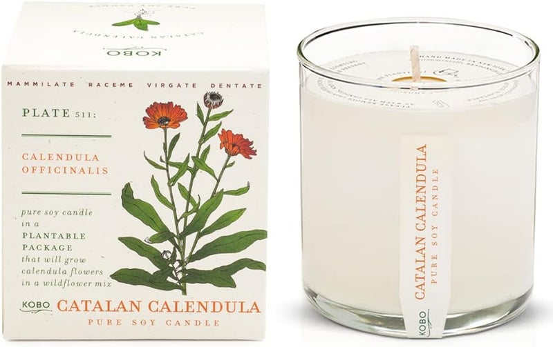 KOBO Catalan Calendula Scented Candle with Plantable Box (9 oz) | Plant The Box Collection, 100% Pure Soy Wax Candles | Hand-Poured in USA | Long Lasting 60 Hour Burn | Scented Candles for Home