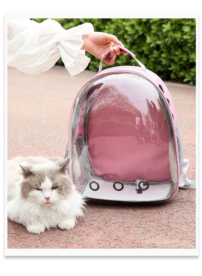 general Breathable Portable Pet Carrier Bag Outdoor Travel puppy cat bag Transparent Space Pet Backpack Capsule - Image 2