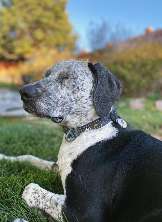 OllyDog طوق OllyDog Flagstaff، طوق كلاب منسوج مع مشبك جانبي، طوق تدريب خفيف الوزن للكلاب الكبيرة والمتوسطة والصغيرة (كبير، لون نباح الغراب) - Image 3