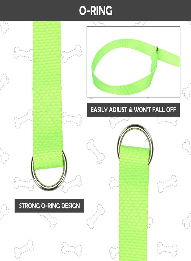 اتش او ام آي أم بي مقود انزلاقي للكلاب من هوميمب، طوله 6 أقدام - 8 قطع، ألوان متنوعة، مناسب للكلاب الصغيرة والمتوسطة والكبيرة، مثالي لإنقاذ الحيوانات الأليفة وتزيينها - مصنوع من النايلون المتين، طوله 6 أقدام، مناسب للملاجئ والعيادات البيطرية والتدريب. - Image 3