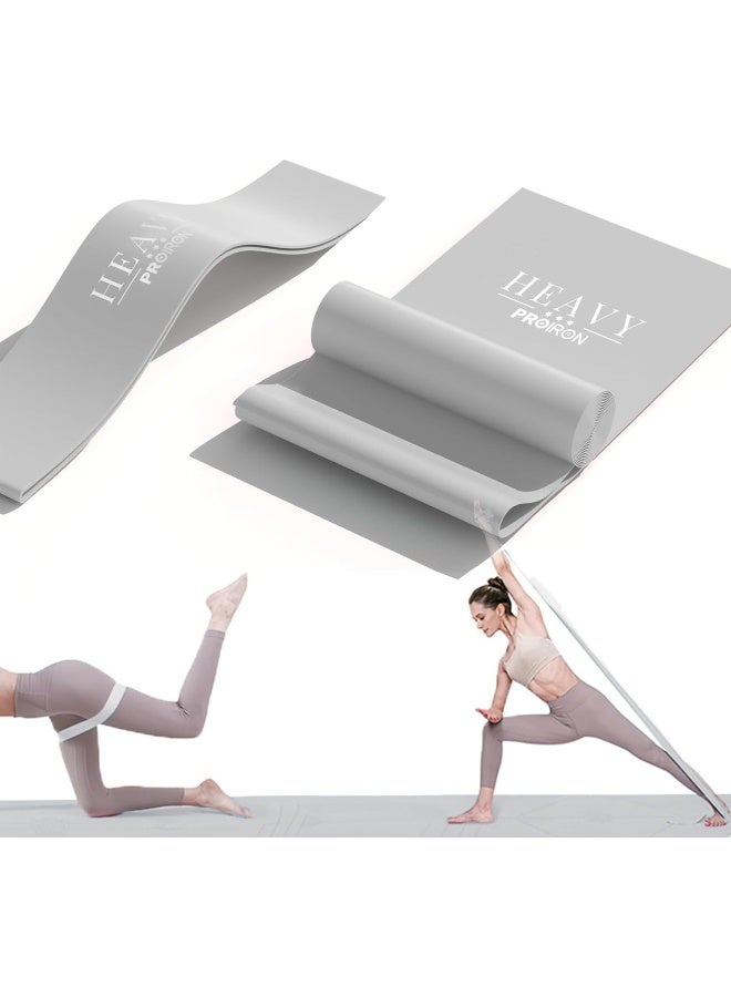 PROIRON 2-in-1 Resistance Bands Set – Loop Bands & Physical Therapy Bands for Full Body - Image 1